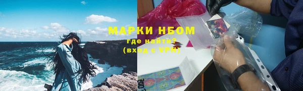 прущие грибы Зерноград