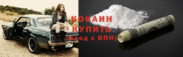 прущие грибы Зерноград