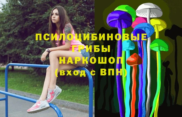 сатива Пересвет