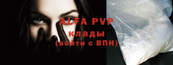 прущие грибы Зерноград