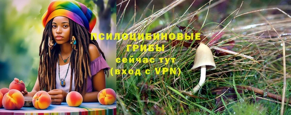 прущие грибы Зерноград