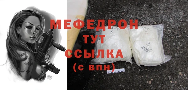 индика Саяногорск